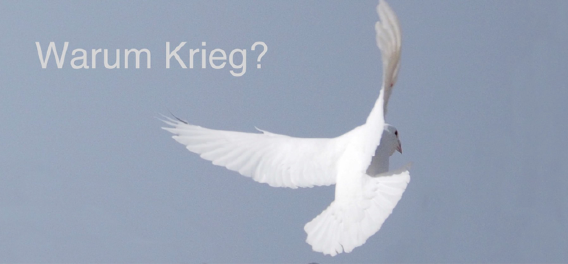 Warum Krieg? Eine Lesung im Theater