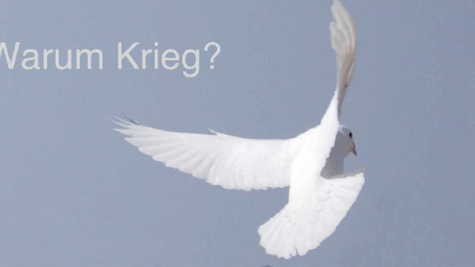 Warum Krieg? Eine Lesung im Theater